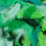 Plumes colorées 10 g - Vert