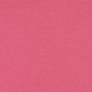Papier Bazzill Bling 30,5 x 30,5 cm - 216 g/m² - Rose Feather Boa